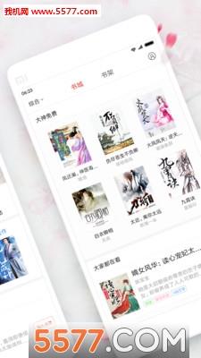 小说之王截图