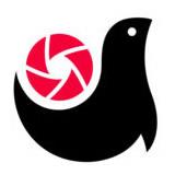 画报手机版