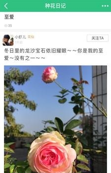 花草之家截图