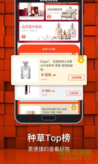 海狸星球社交平台截图