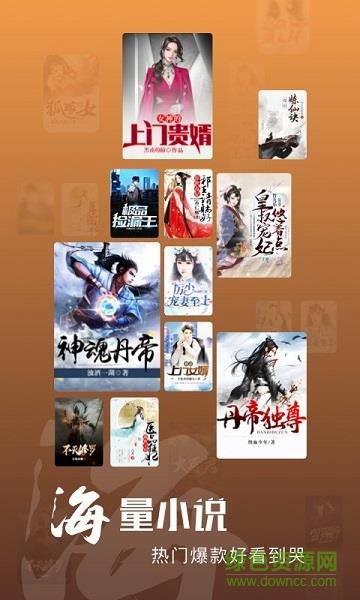 洋葱免费阅读小说