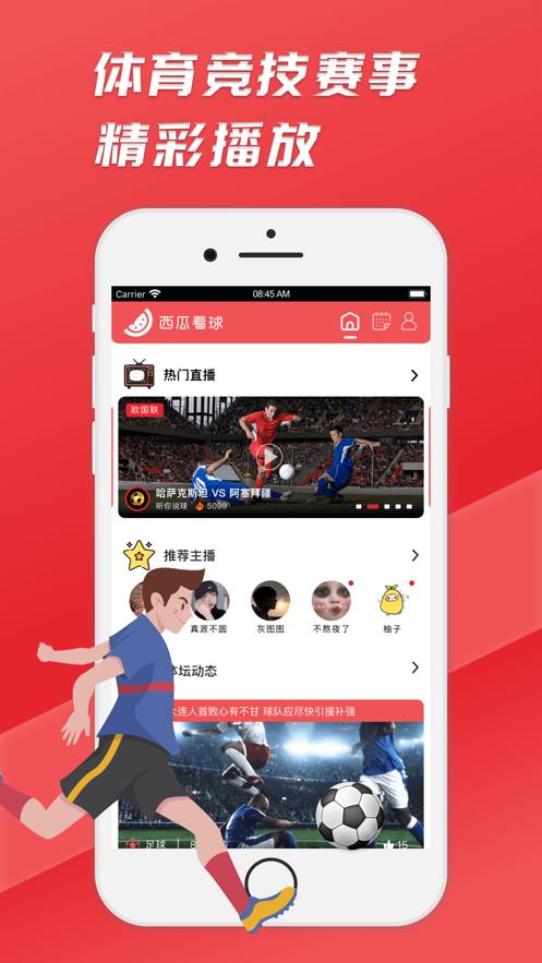 西瓜看球截图