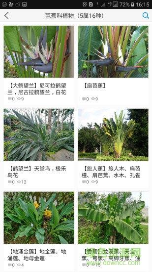 植物大全截图