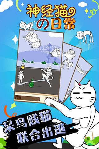 神经猫的日常截图