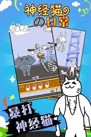神经猫的日常截图