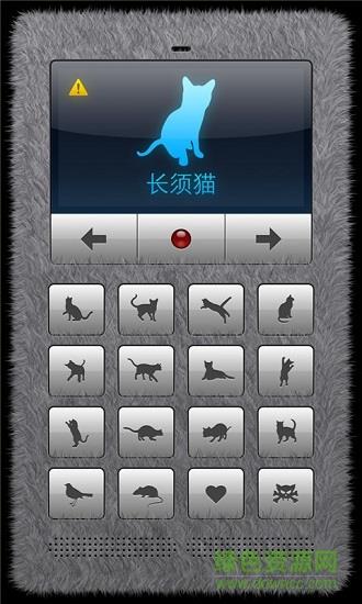 和猫说话