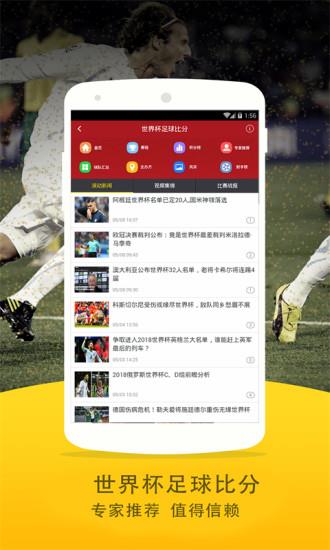 世界杯足球比分截图