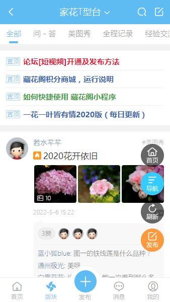 藏花阁园艺论坛