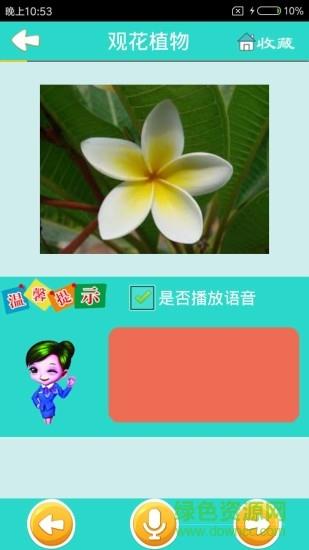 看图识花