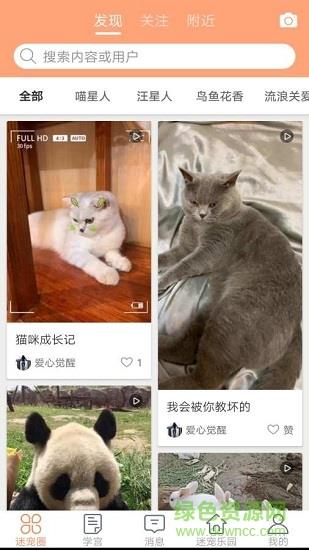 迷宠圈