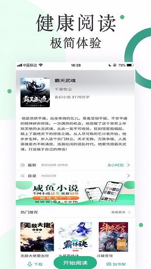 咸鱼小说