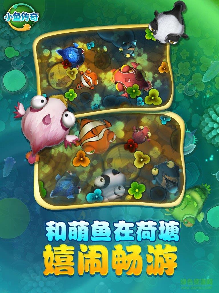 小鱼传奇