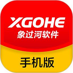 象过河进销存
