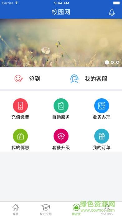 青茐校园