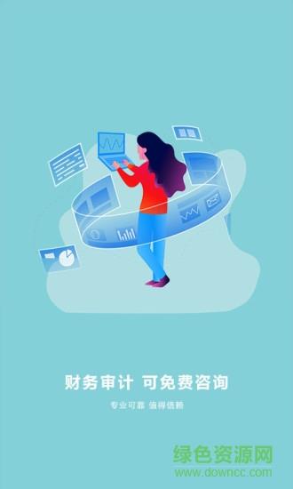 财务审计截图