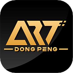 东鹏艺术定制