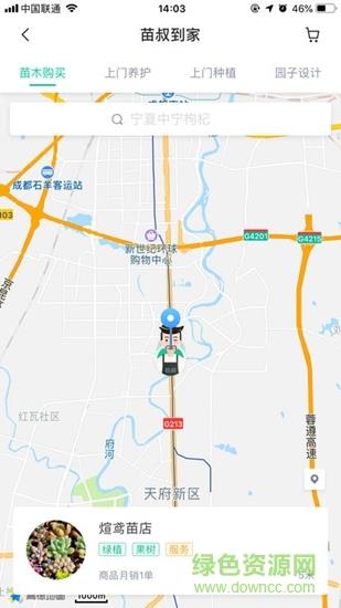 苗叔