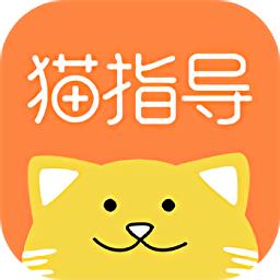 猫指导