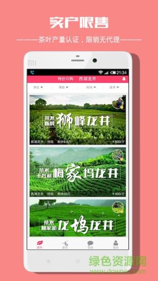 茶真真