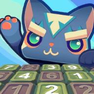 Puzzle Sudoku(创意数独)