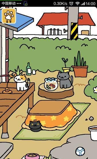 猫咪后院