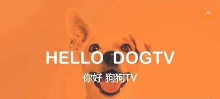 狗狗TV安卓版