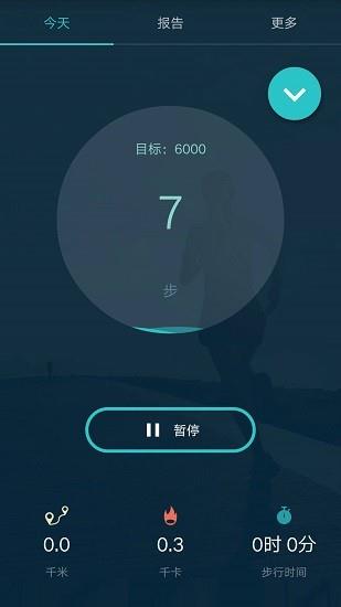 计步器记步截图