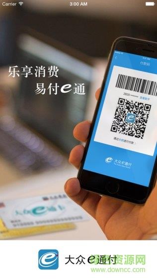 大众e通付截图