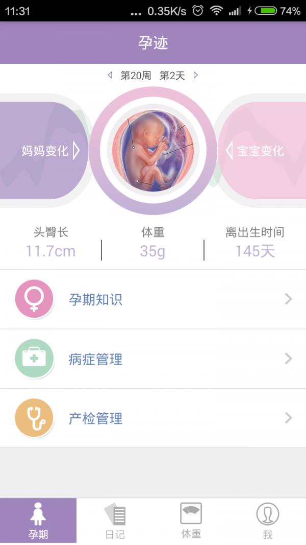 孕迹
