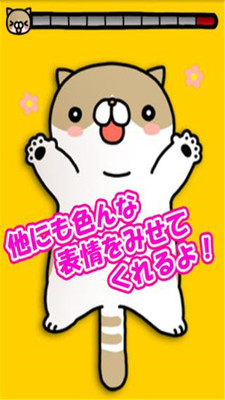 搔痒猫