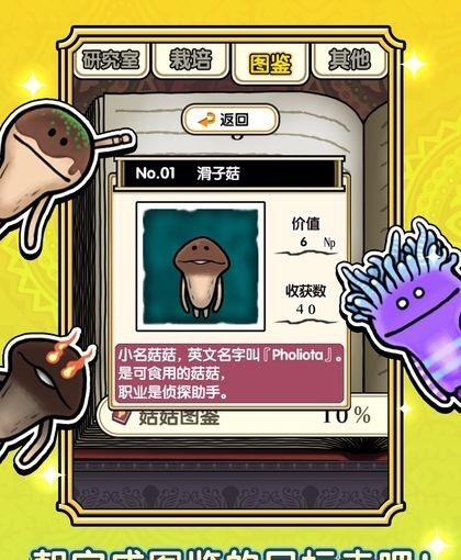 蘑菇花园