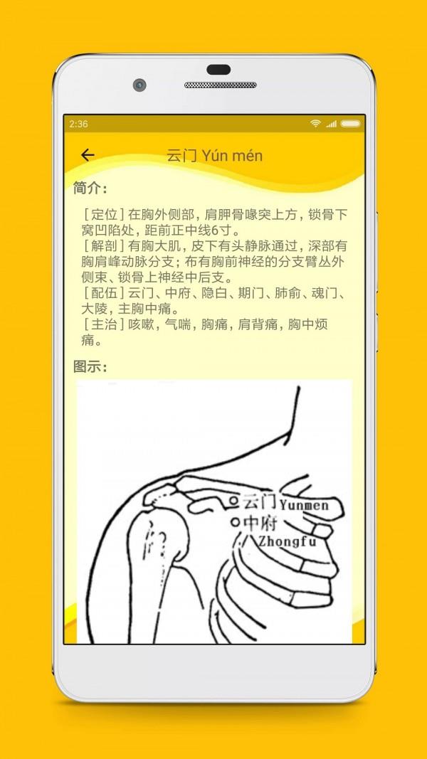 人体穴位图解截图
