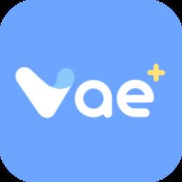 vae+最新版