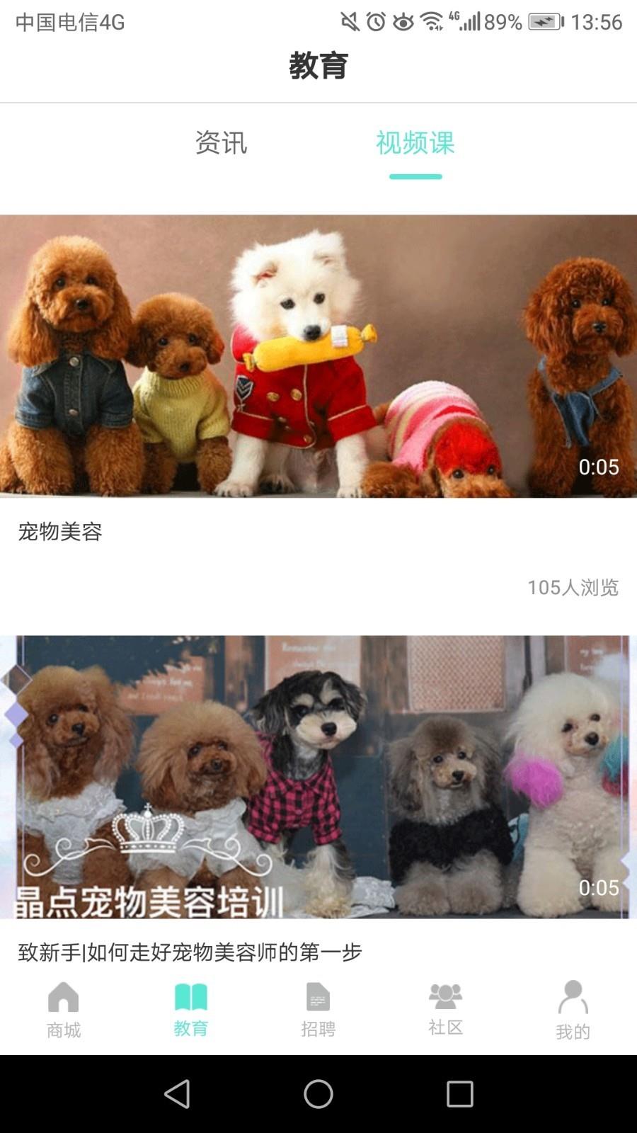 宠集宝截图