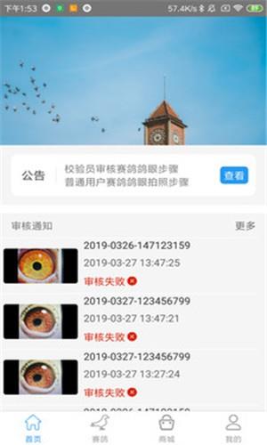 爱鸽天下截图