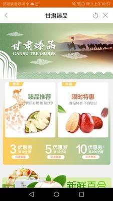 极臻甘肃截图