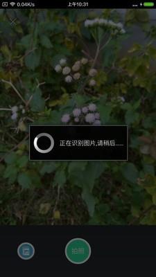 农歌截图