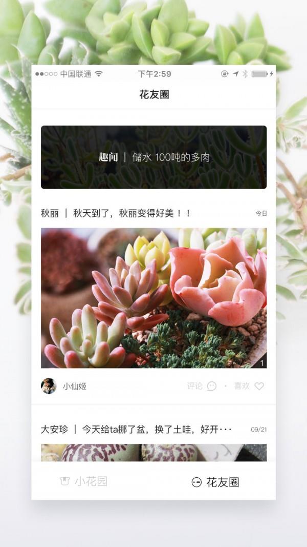 奇妙植物