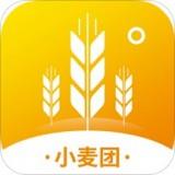 小麦团