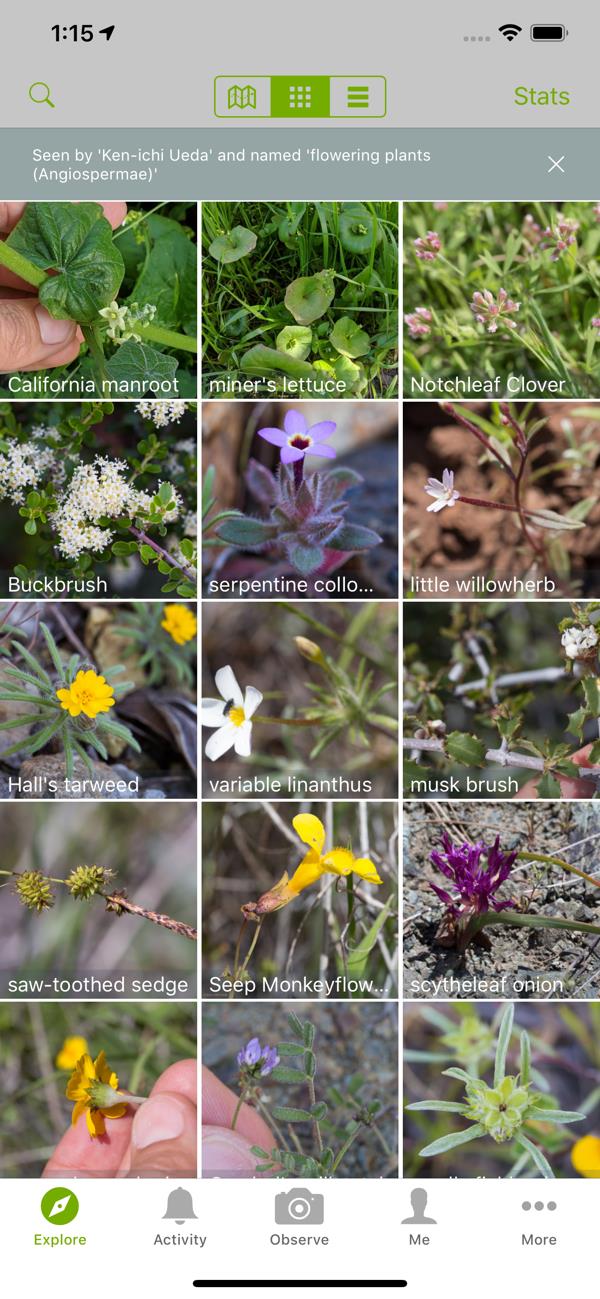 iNaturalist