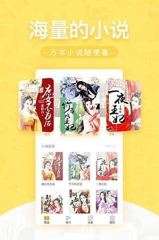 网兜小说截图