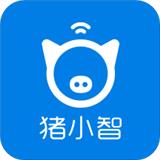 猪小智