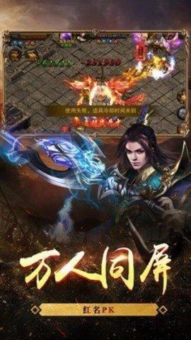 忘忧传奇手机版截图