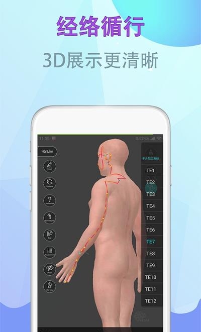 中医经络腧穴