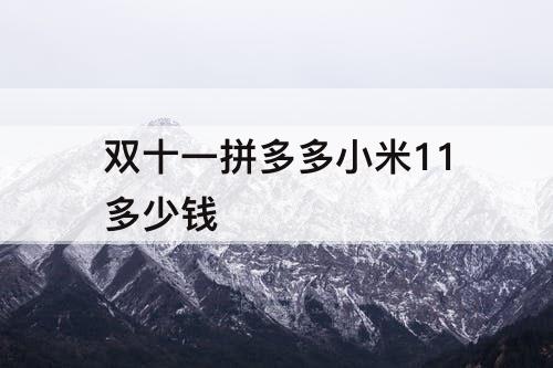 双十一拼多多小米11多少钱