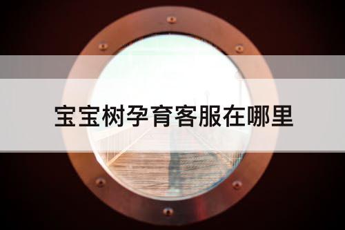 宝宝树孕育客服在哪里