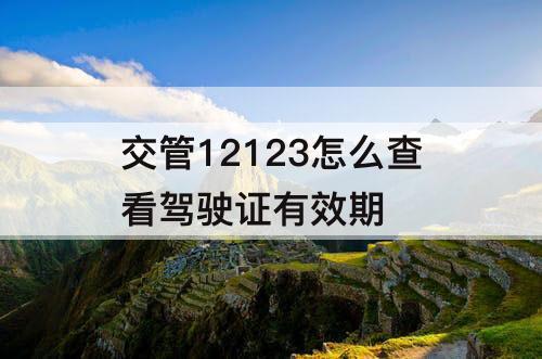 交管12123怎么查看驾驶证有效期