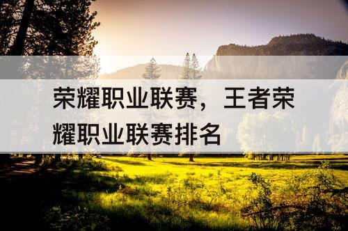 荣耀职业联赛,王者荣耀职业联赛排名