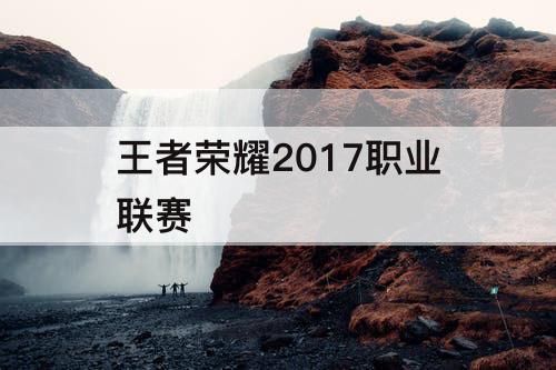 王者荣耀2017职业联赛