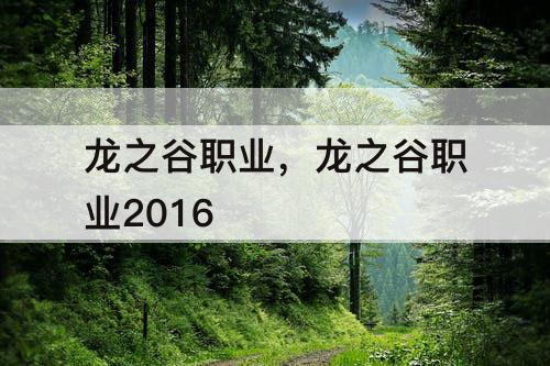 龙之谷职业,龙之谷职业2016